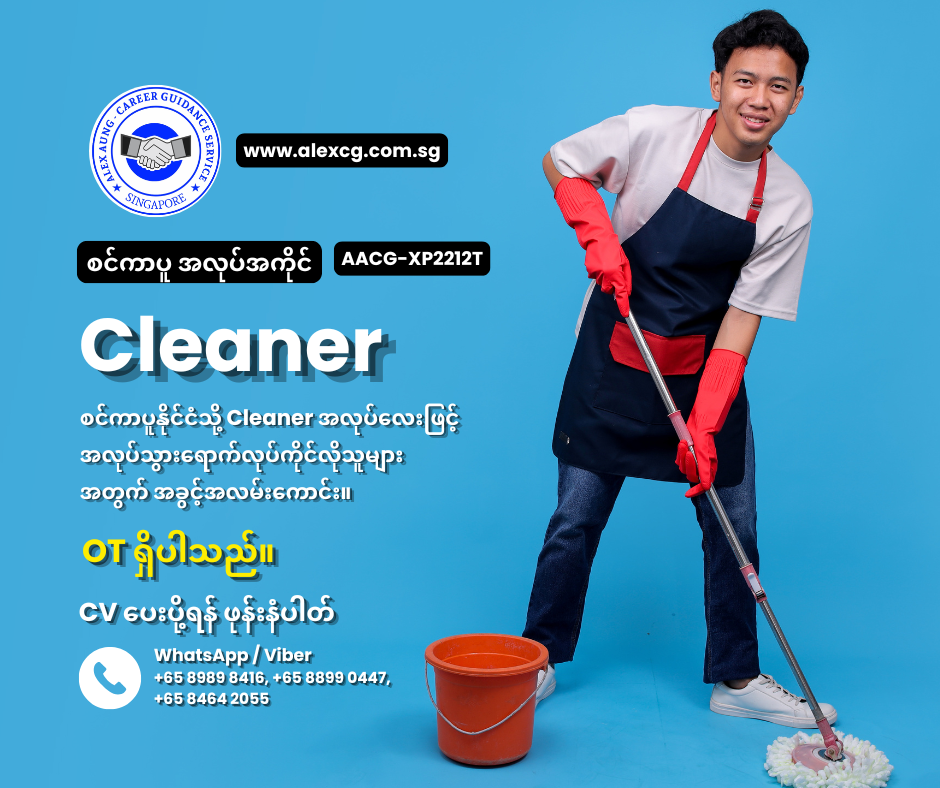Cleaner