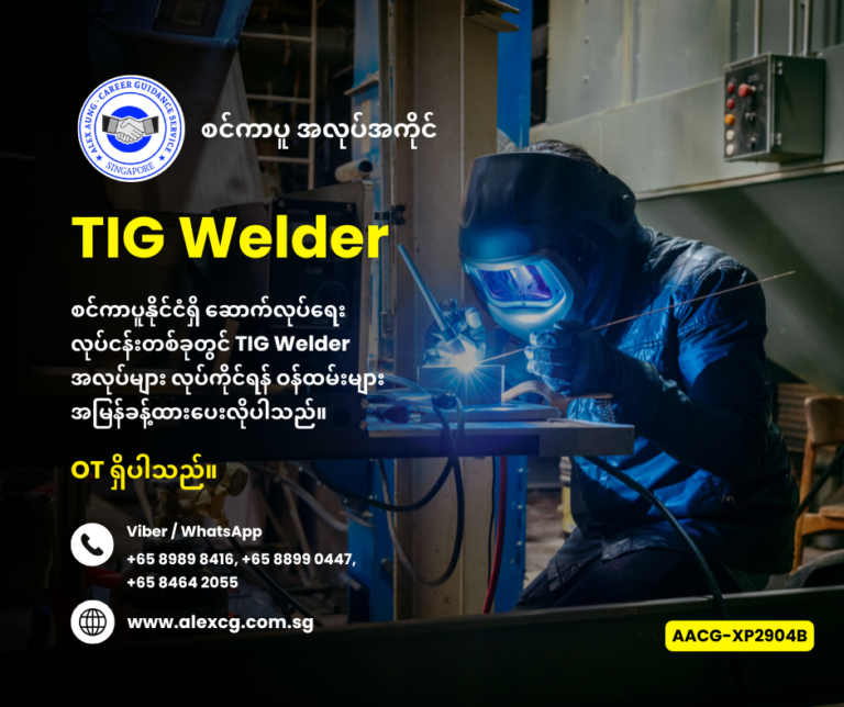 TIG Welder