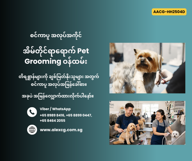 Pet Grooming