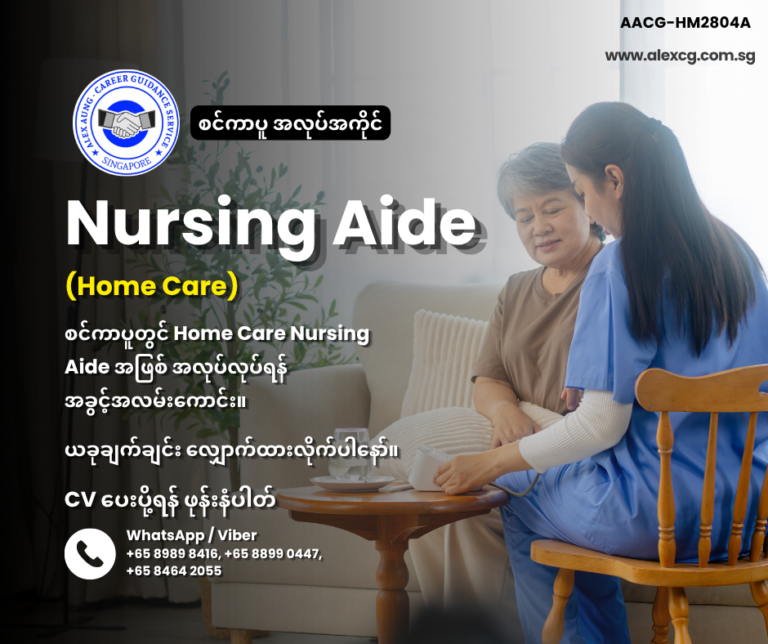 Nursing Aide