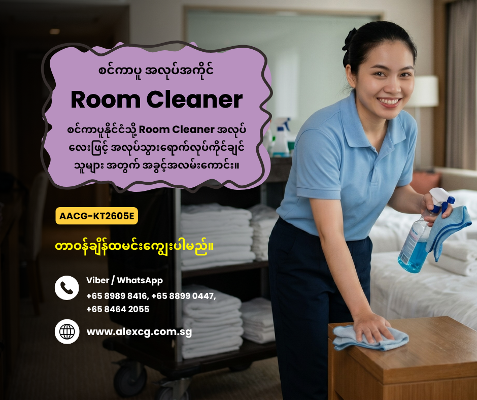 Room Cleaner