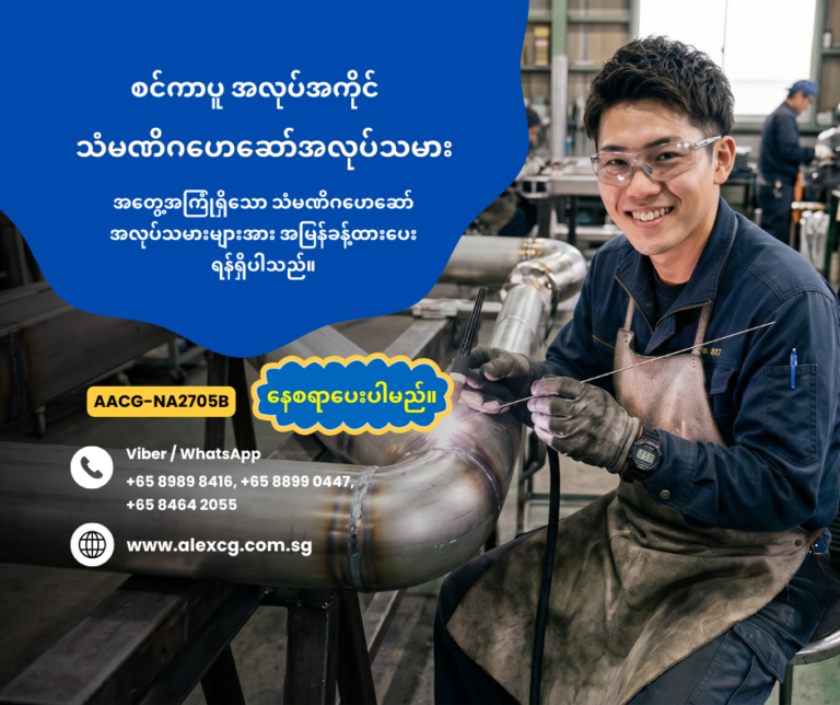 Stainless Steel Welder and TIG Welder