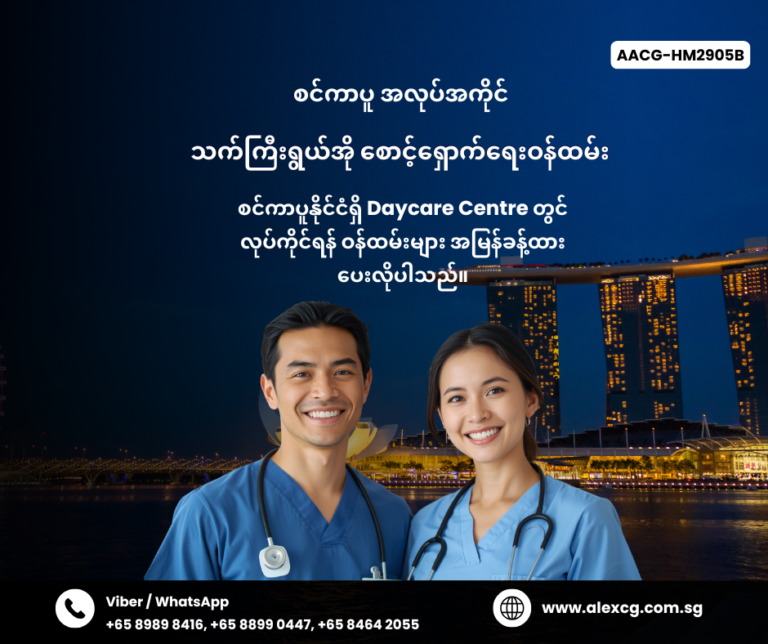 Nursing Aide