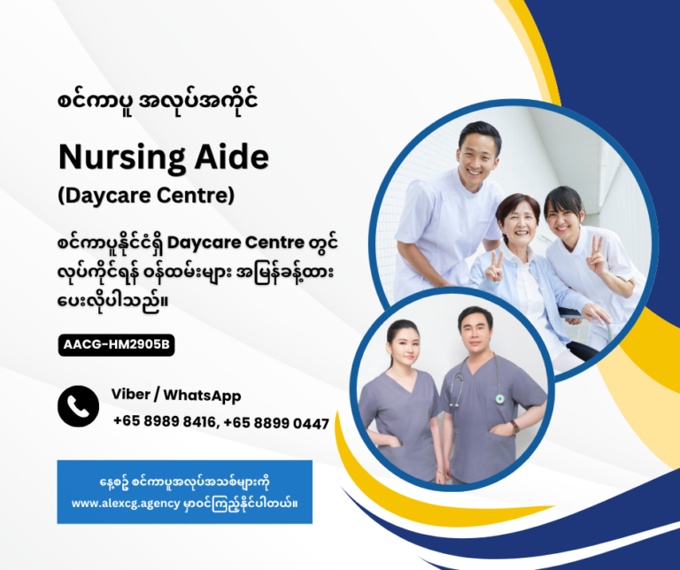 Nursing Aide