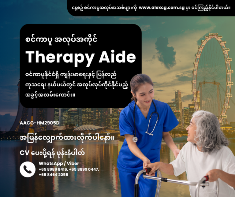 Therapy Aide