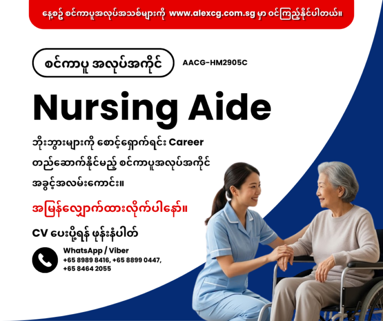Nursing Aide