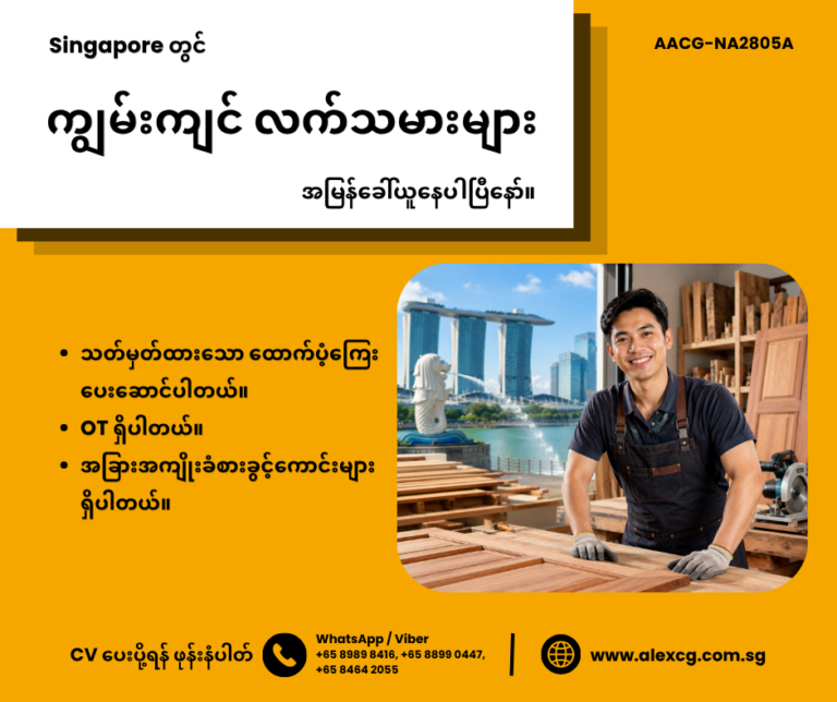 ကျွမ်းကျင် လက်သမား