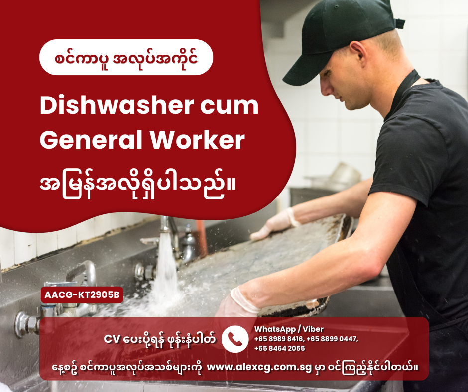 Dishwasher cum General Worker
