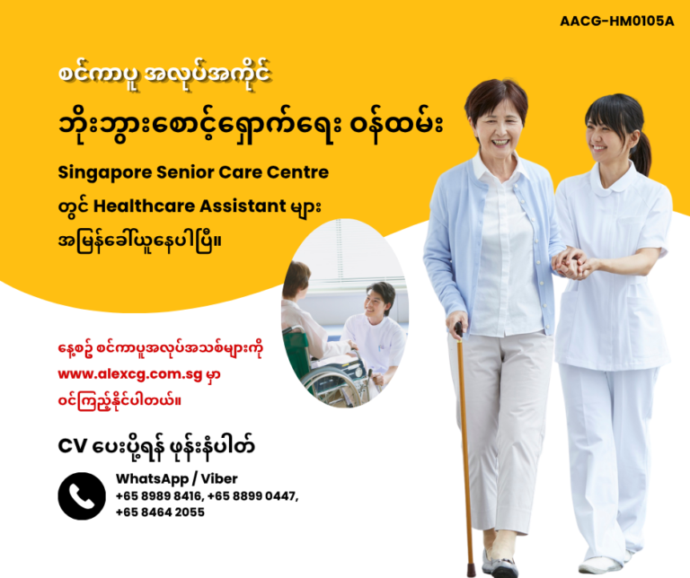 ဘိုးဘွားစောင့်ရှောက်ရေး ဝန်ထမ်း