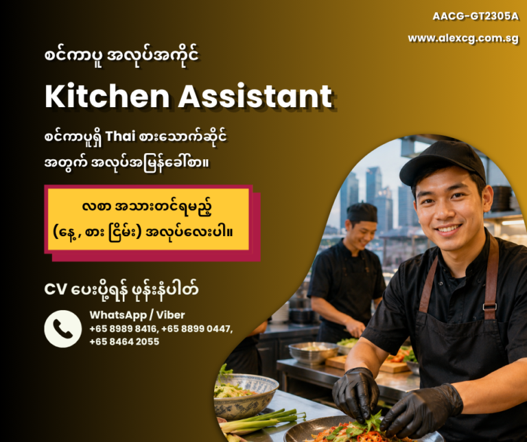 Kitchen Assistant