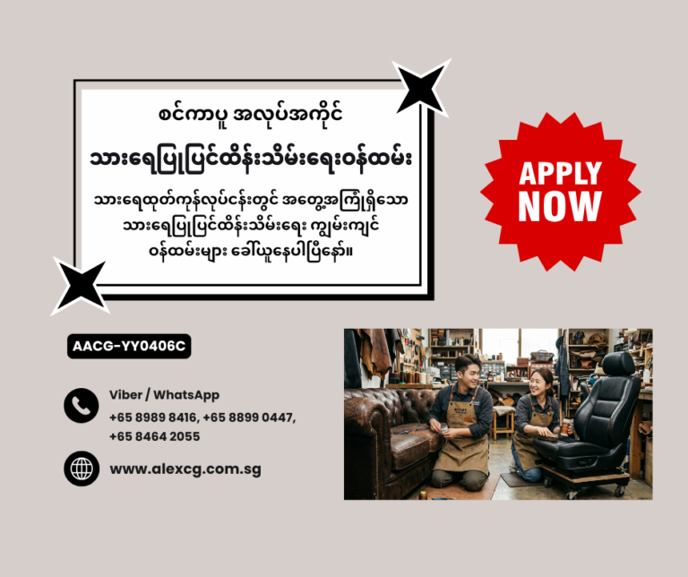 Leather Repairer