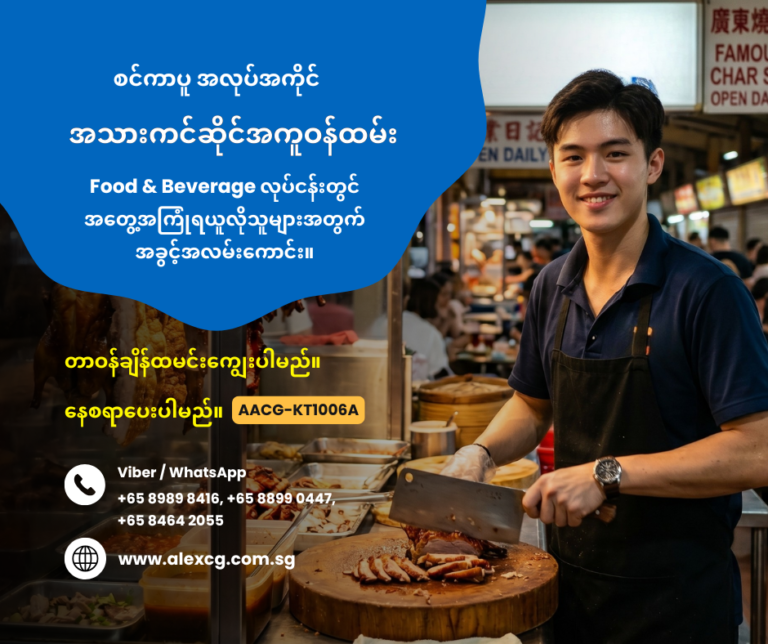 Roast Meat Stall Assistant