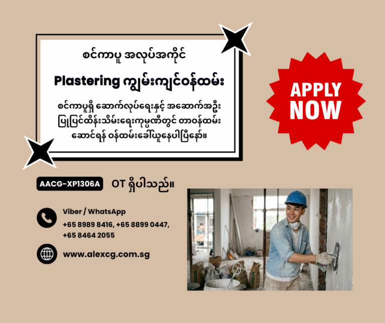 Plastering Worker