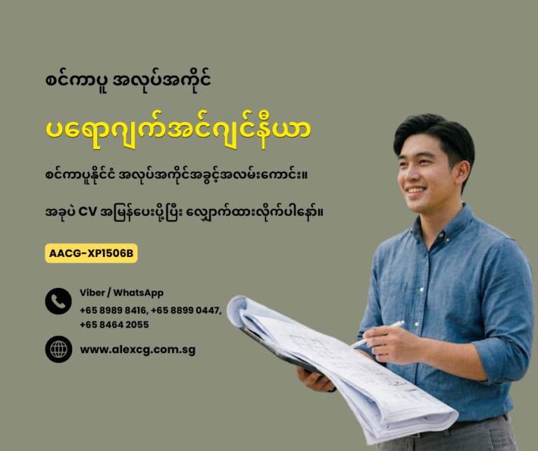 Project Engineer