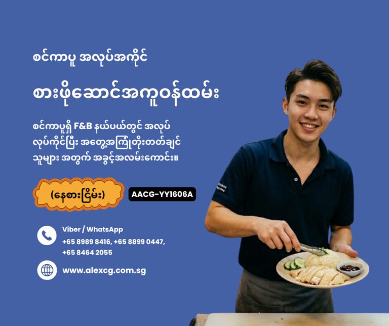 Chicken Rice Apprentice