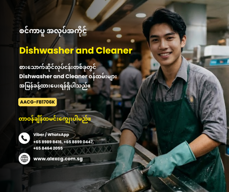 Dishwasher and Cleaner