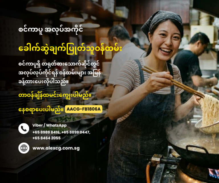 Noodle Cook