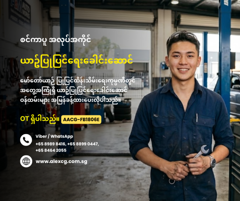 Head Mechanic