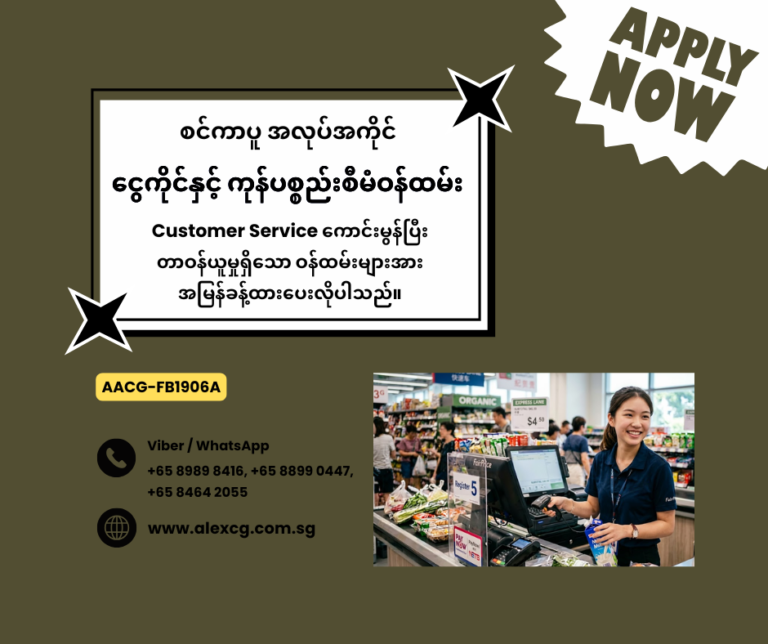 Cashier and Stock assistant