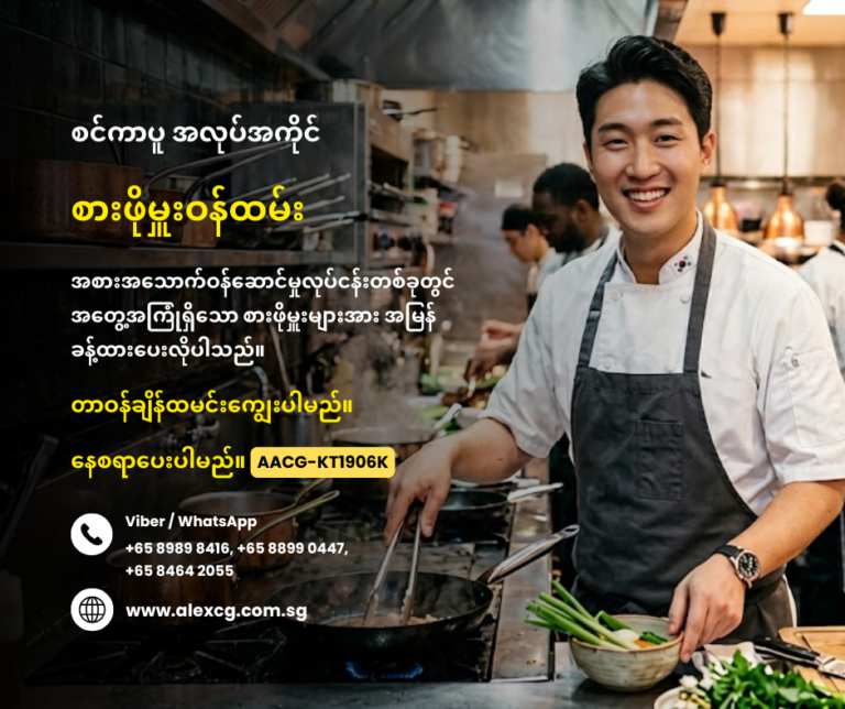 Mixed Rice Chef