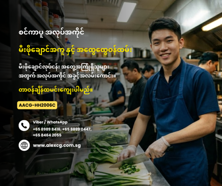 Kitchen Assistant cum General Worker