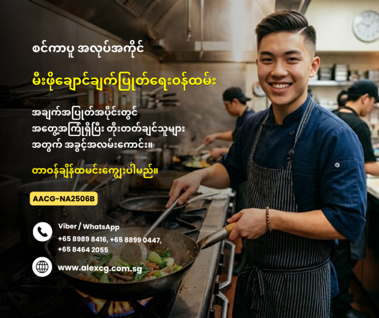 Kitchen Cook