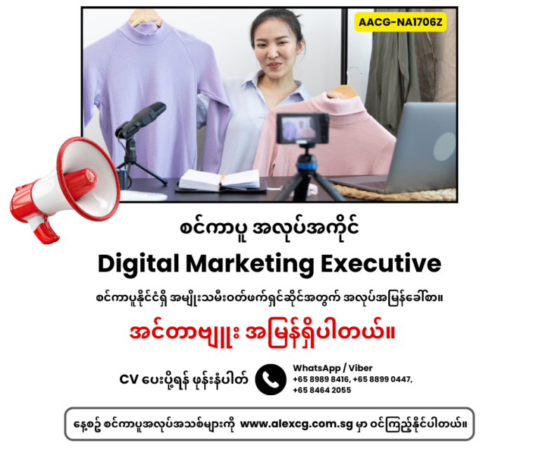 Digital Marketing Executive