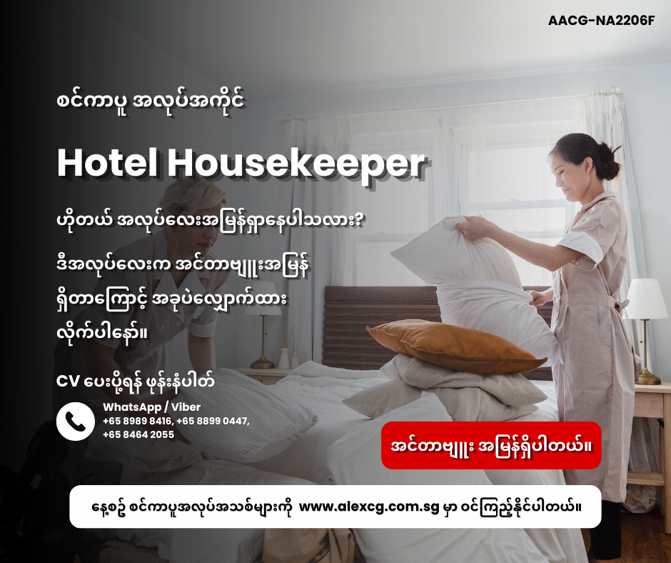 Hotel Housekeeper