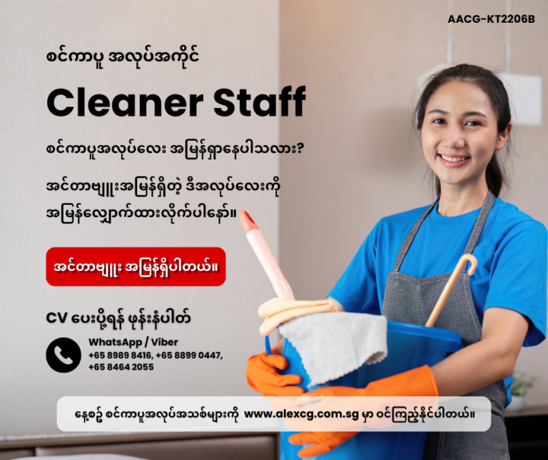 Cleaner Staff