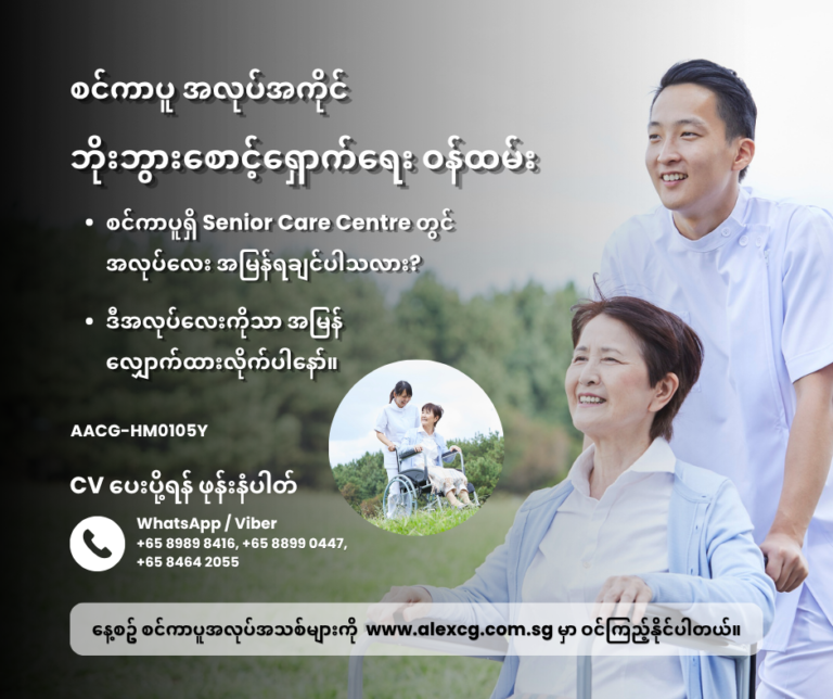 ဘိုးဘွားစောင့်ရှောက်ရေး ဝန်ထမ်း