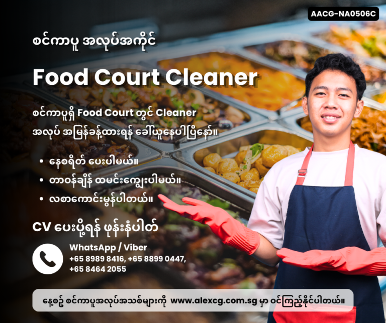 Food Court Cleaner