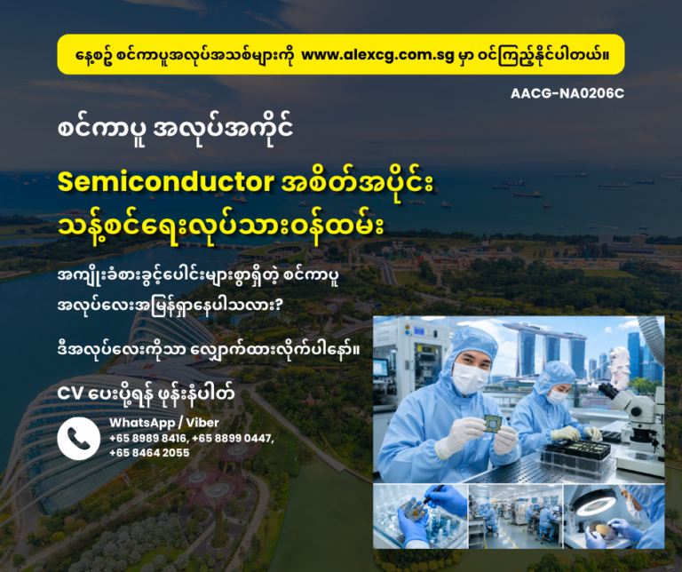Semiconductor အစိတ်အပိုင်း သန့်စင်ရေးလုပ်သားဝန်ထမ်း