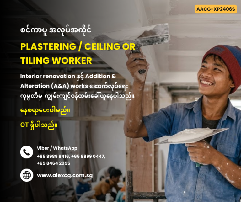 PLASTERING / CEILING OR TILING WORKER