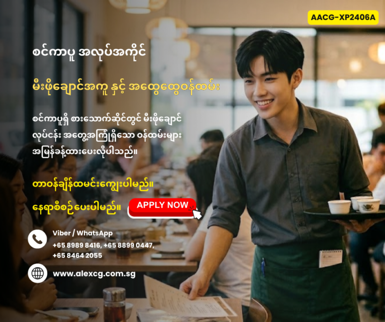 Kitchen Assistant / Stall Assistant