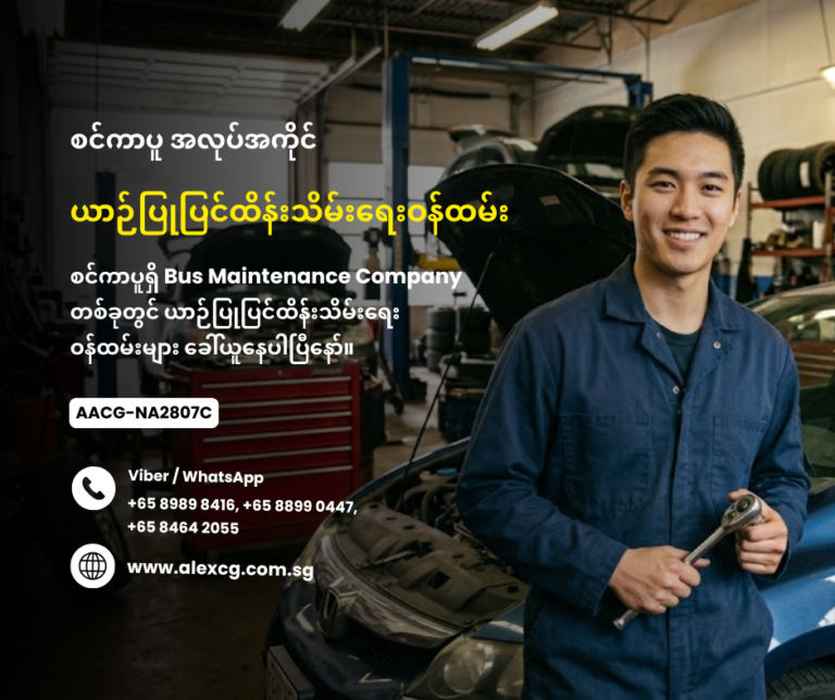 Vehicle Mechanic