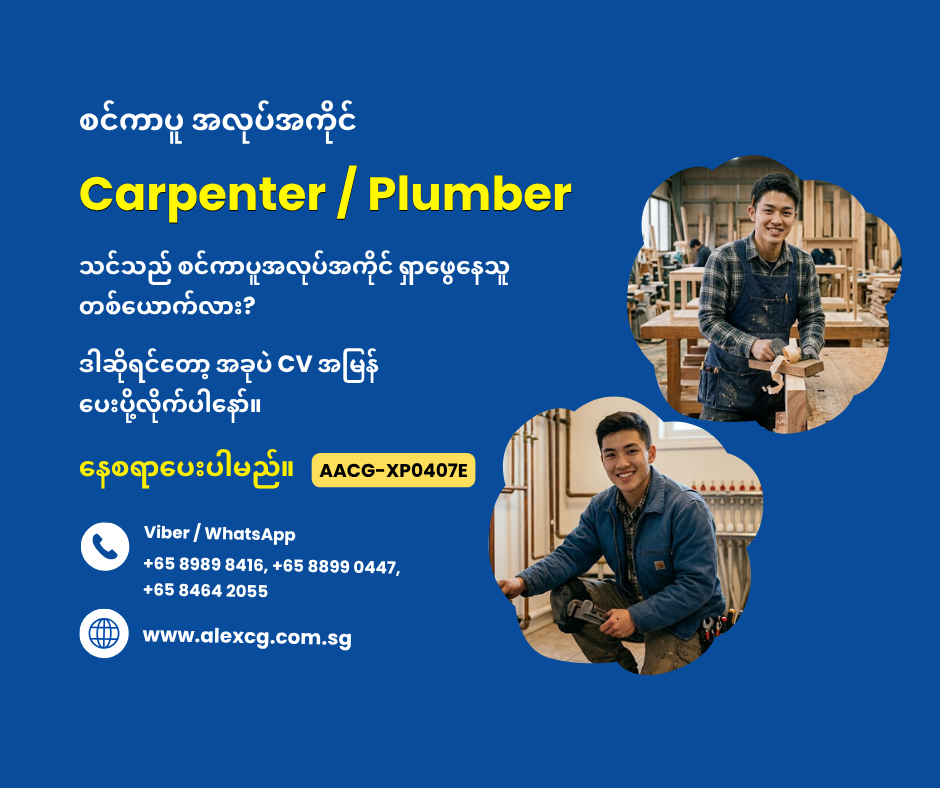 Carpenter / Plumber