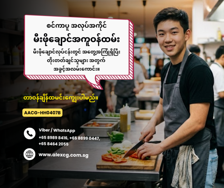 Kitchen Assistant