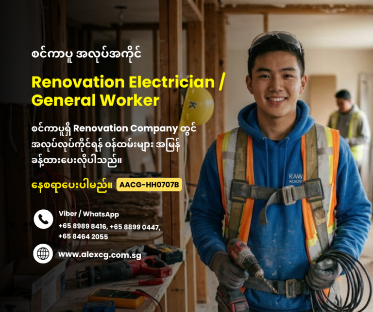Renovation Electrician / General Worker