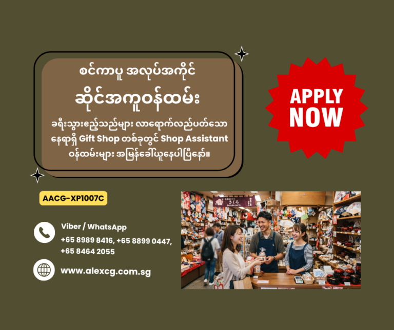 Shop Assistant