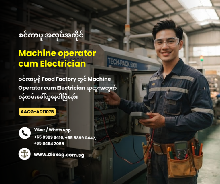 Machine operator cum Electrician