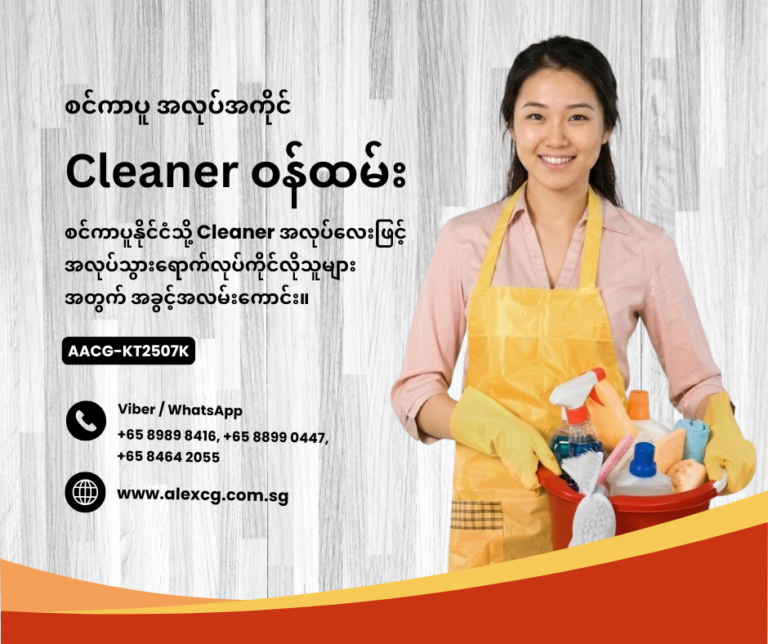 Cleaner