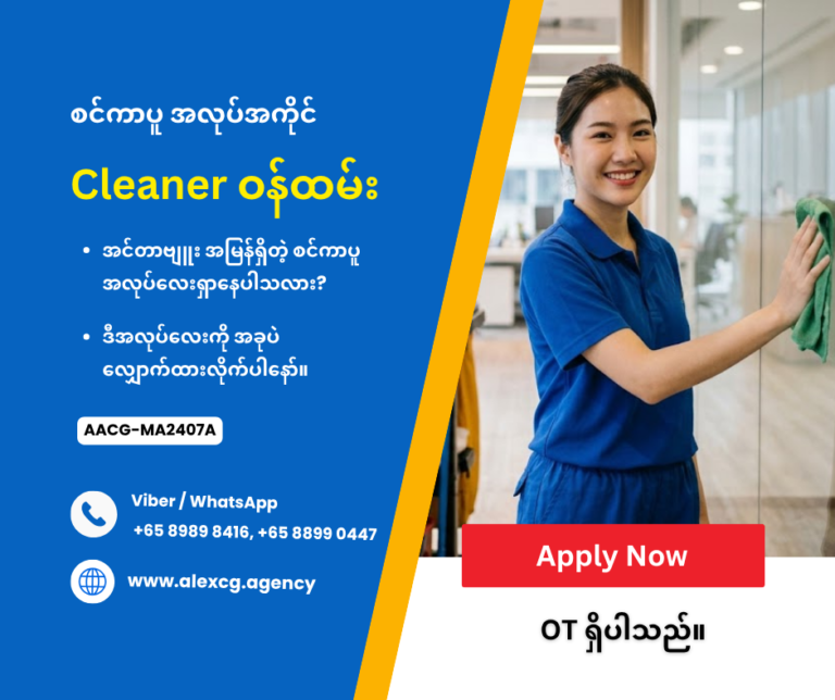 Cleaner Staff