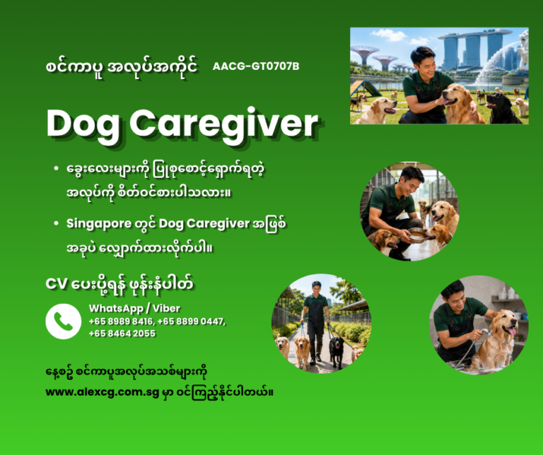 Dog Caregiver