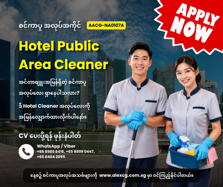 Hotel Public Area Cleaner