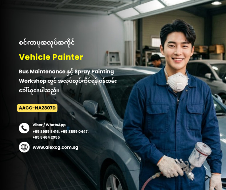 Vehicle Painter