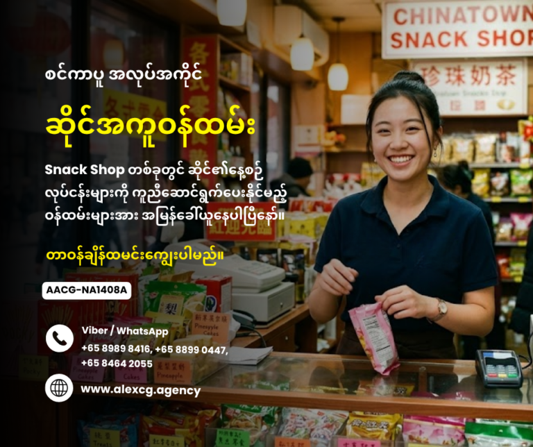 Shop Assistant