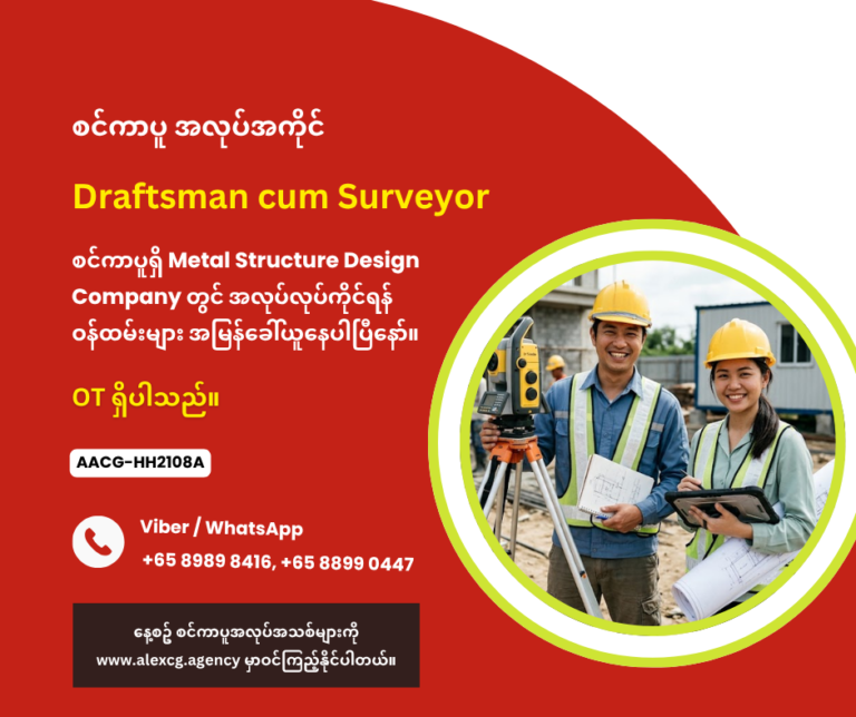 Draftsman cum Surveyor