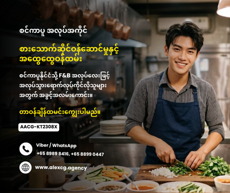 Sever cum chef assistant cum general worker