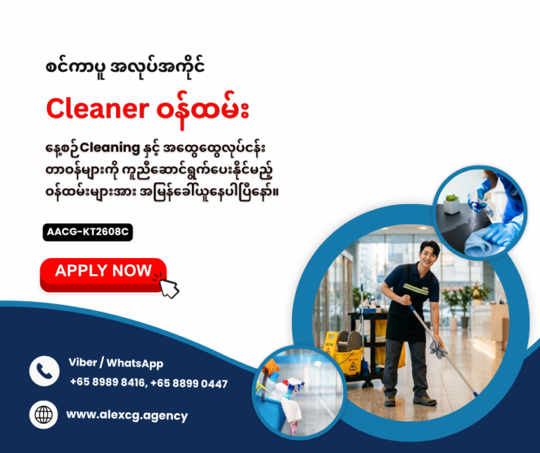 Cleaner