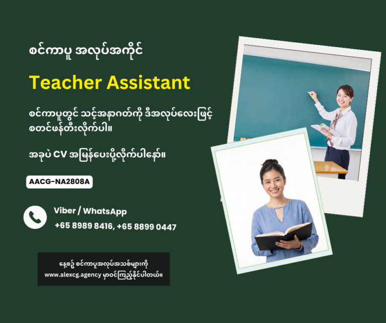 Teacher Assistant